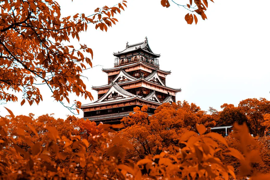 Japanese Courses