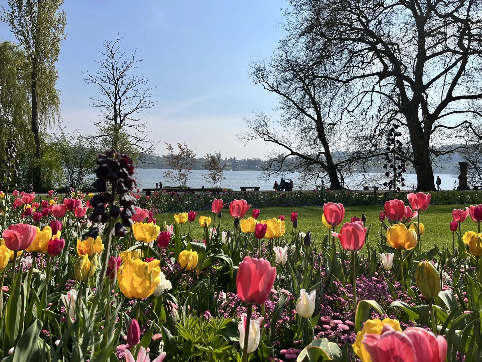Sprachreise am Bodensee — Individueller Deutschkurs